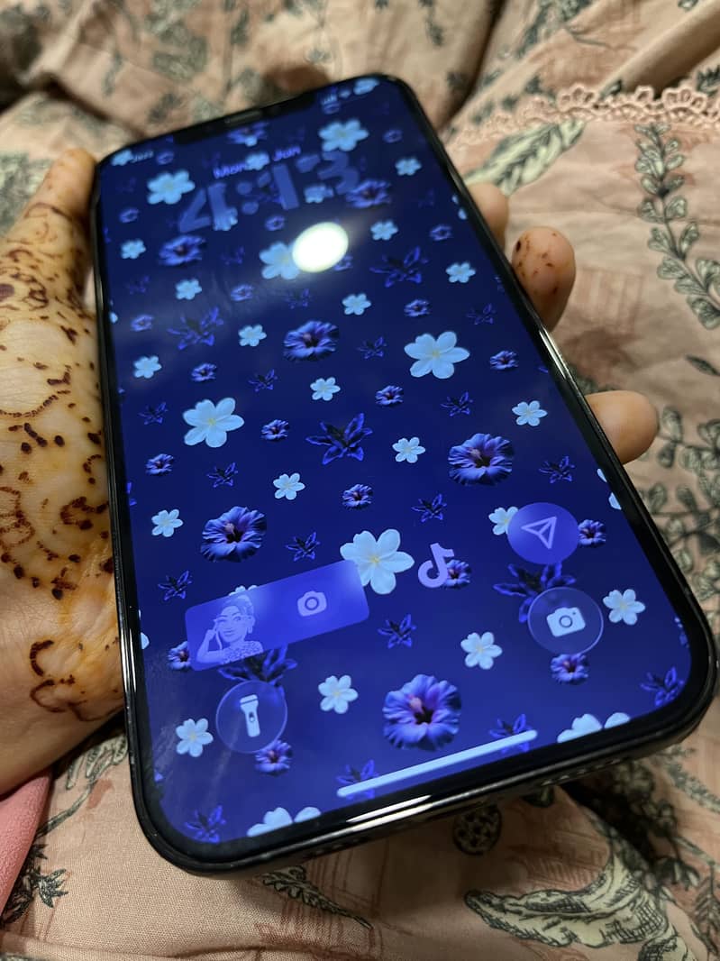 iPhone 12 pro max 6