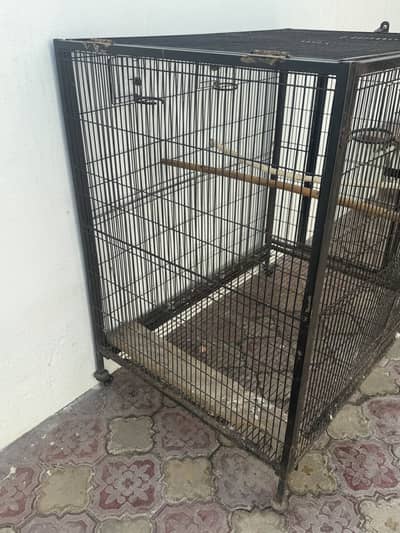 Cage for sale