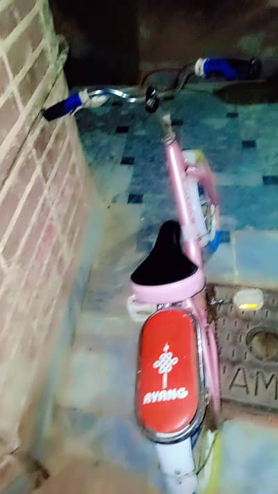 all o cycle