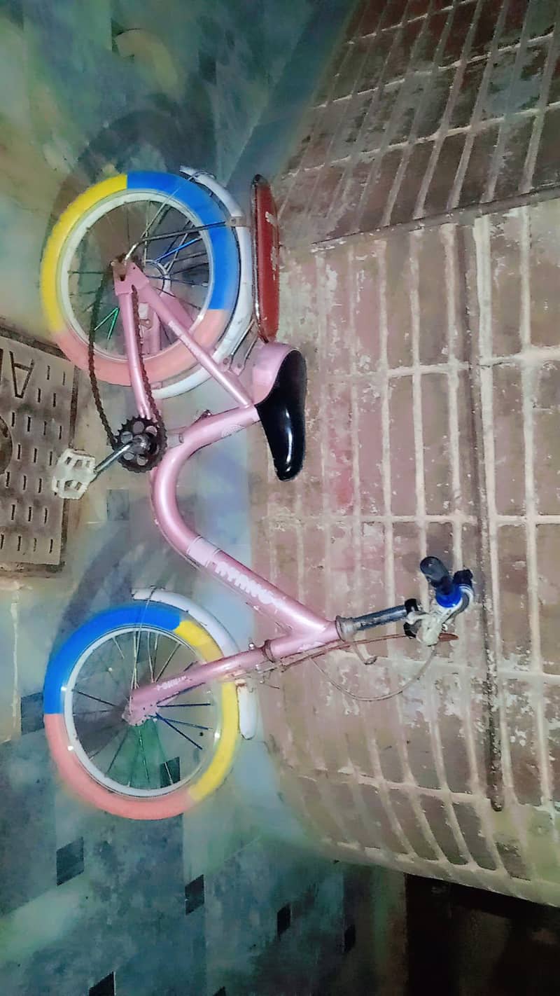 all o cycle 2