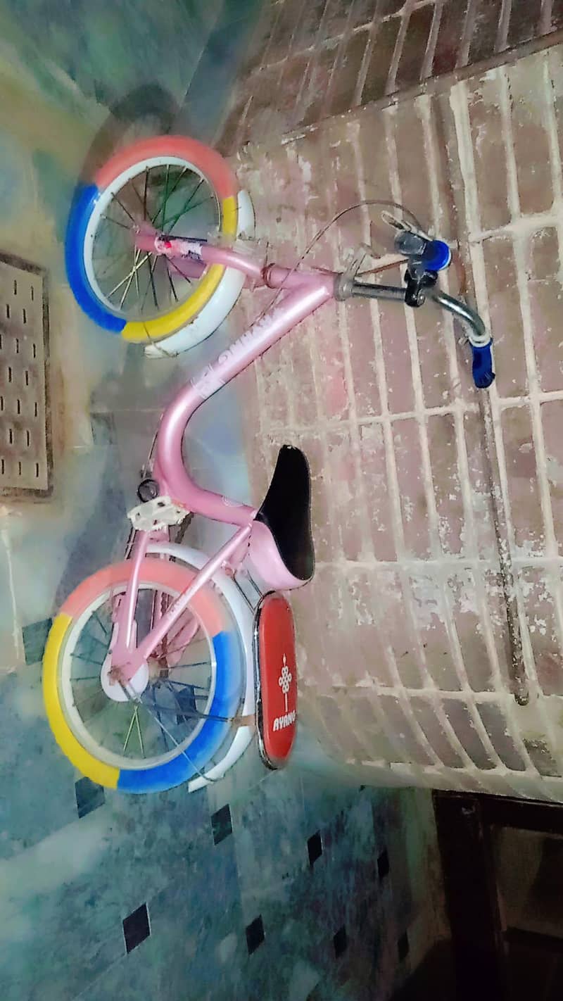 all o cycle 3