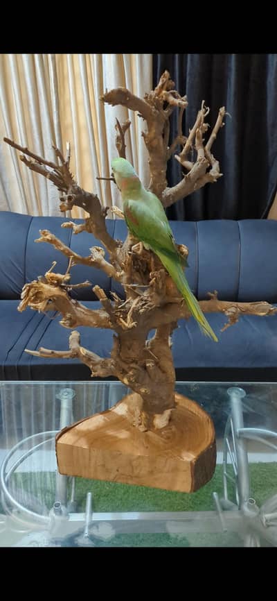 pure wood aesthetic decoration piece