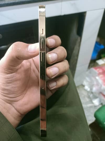 Apple iPhone 12 Pro Max