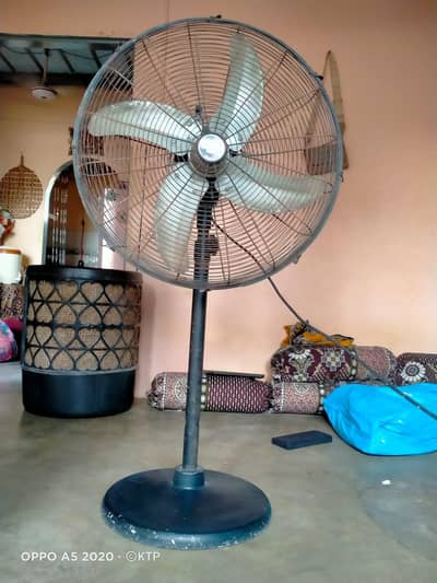 bukhari fans