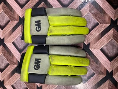 Hard ball cricket kit