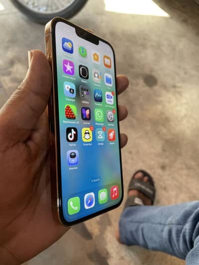Apple iPhone 13 Pro nonpta
