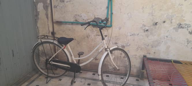 Rosalind Cycle for Sale