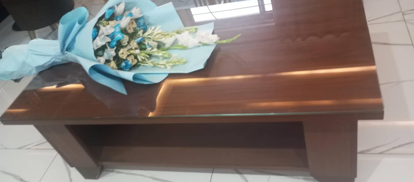 IKEA COFFEE TABLE 2