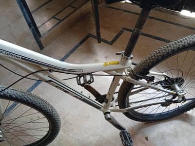GT Imported 29er Mountain Bike