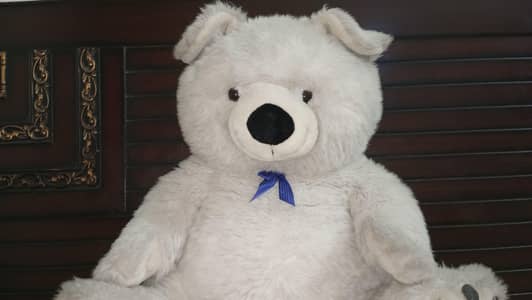 Medium size Teady bear condition like a new 03105354113
