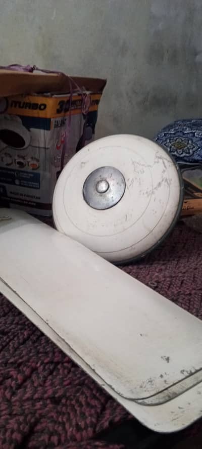 Ceiling fan