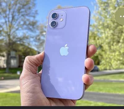 Apple iPhone 12
