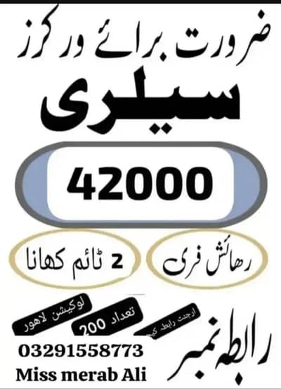 need urgent staff biscuits packing factory jobs available in lahore
