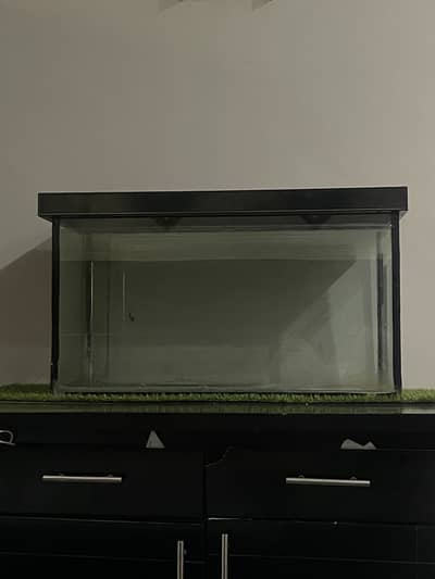 Fish Aquarium