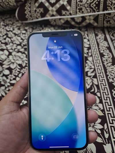 Apple iPhone 12 Pro Max PTA Approved 256
