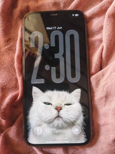 Apple iPhone 12 Pro Max