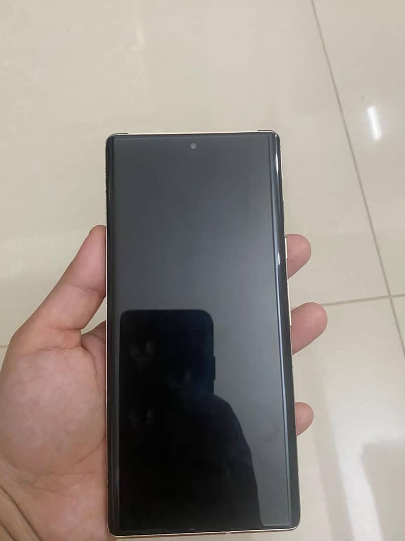 Google Pixel 6 Pro 1