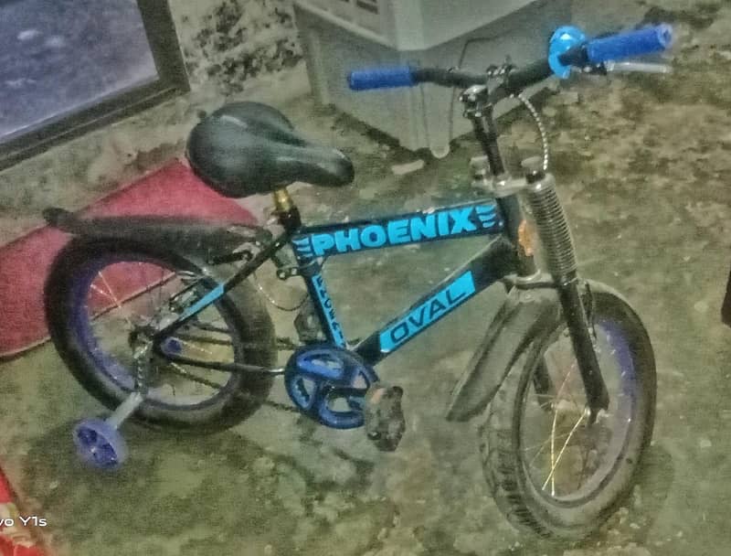 cycle 0