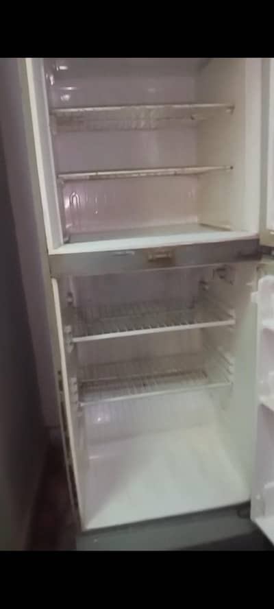 pel fridge