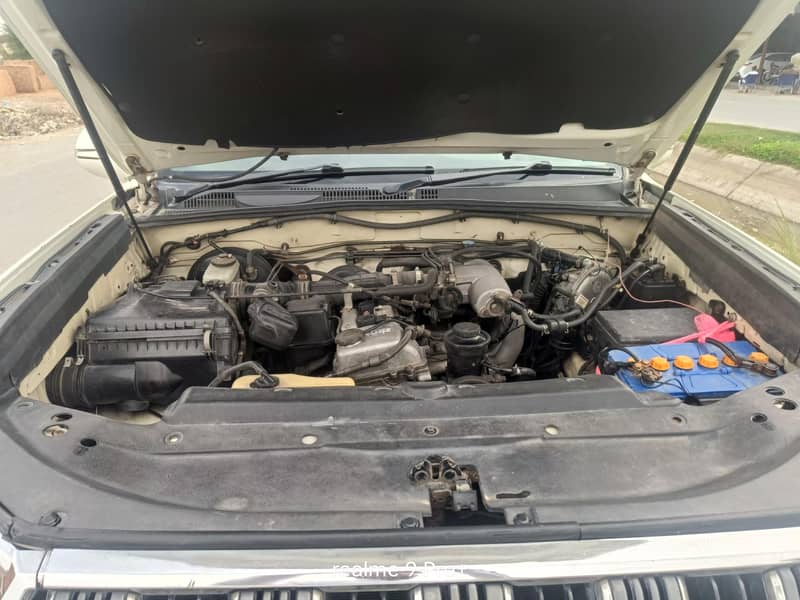 prado 7
