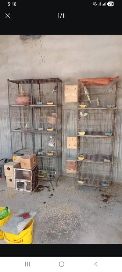 Birds cages 2 pcs