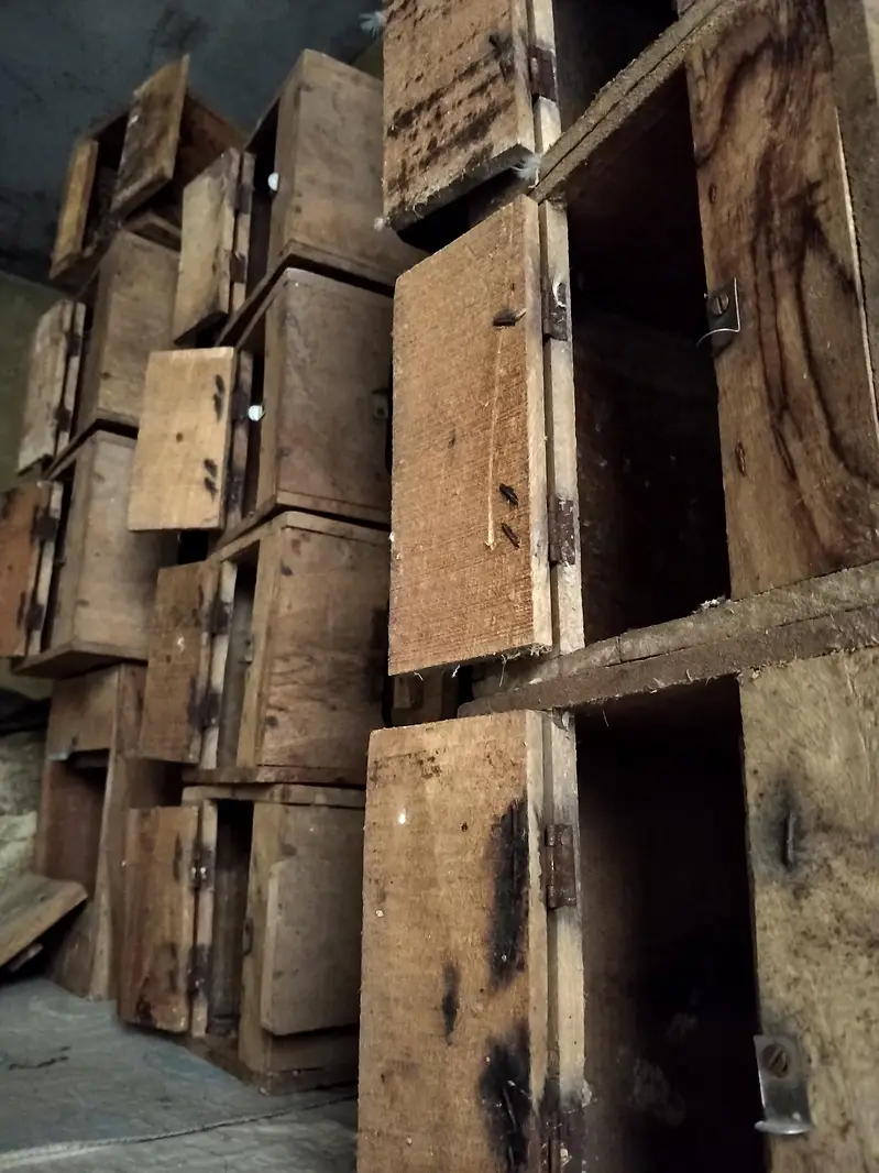 love birds with boxes — photo 9
