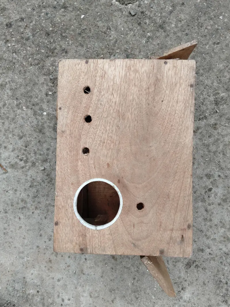 love birds with boxes — photo 10