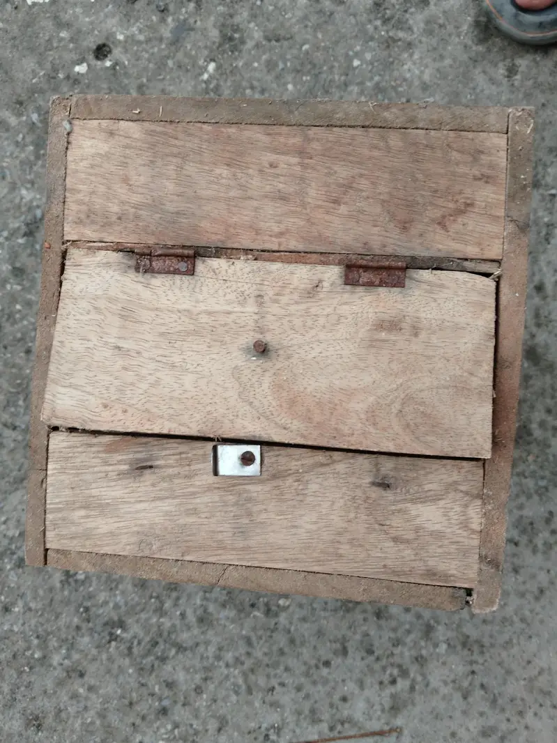 love birds with boxes — photo 12