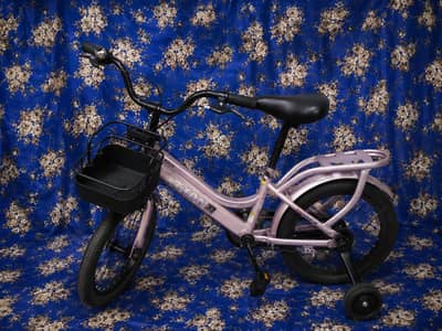 new china cycle