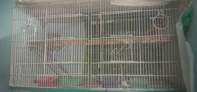 big birds cage for sale karachi