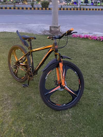Morgan cycle 10/10