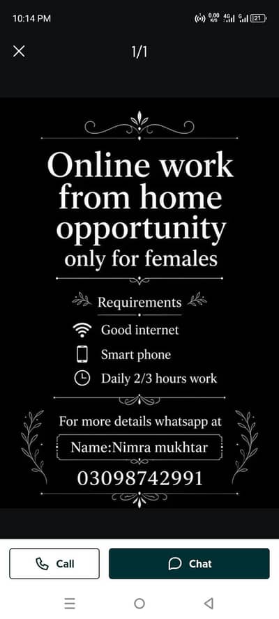 only business opportunity