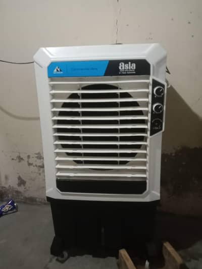 condition 10/10 hai number 0319 8869599