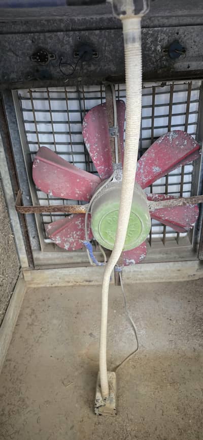air cooler