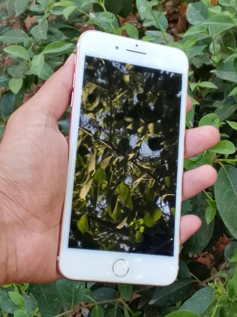 Apple iPhone 7 Plus 1