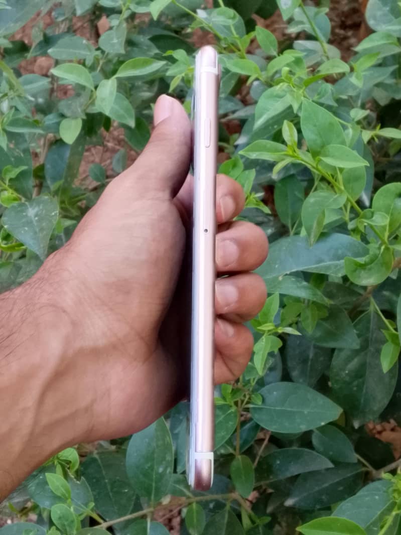 Apple iPhone 7 Plus 3
