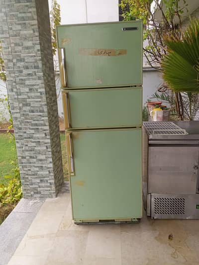 white westing house 3 door friage