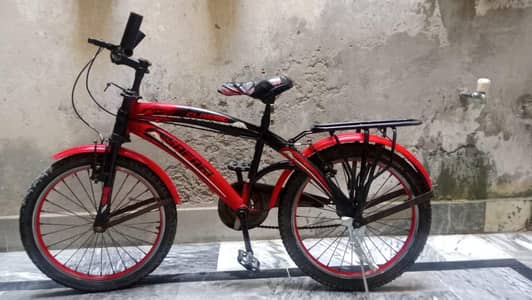 Safari Cycle
