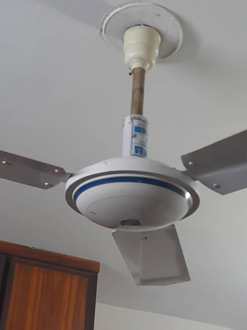 ceiling fan 1