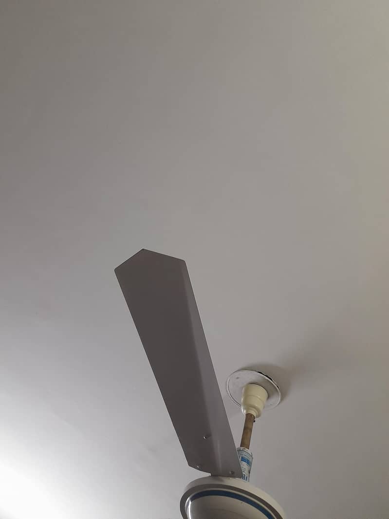 ceiling fan 3