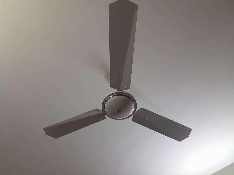 ceiling fan 4