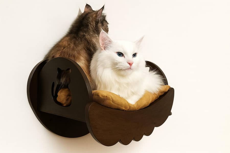Cat Bed 5