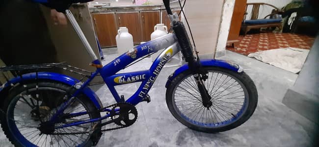 Flying Horse Cycle 20 Inch