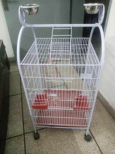 bird's cage