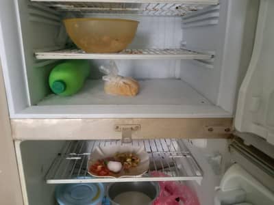 Pel Medium Refrigerator