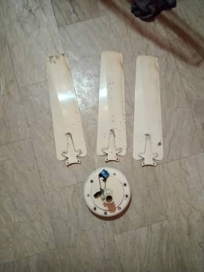 Fan in Good condition