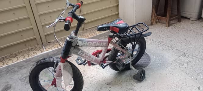 Phoenix Bicycle