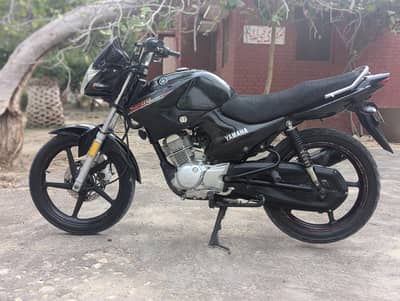 YAMAHA YBR ESD 03313939676