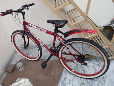 phoniex bicycle