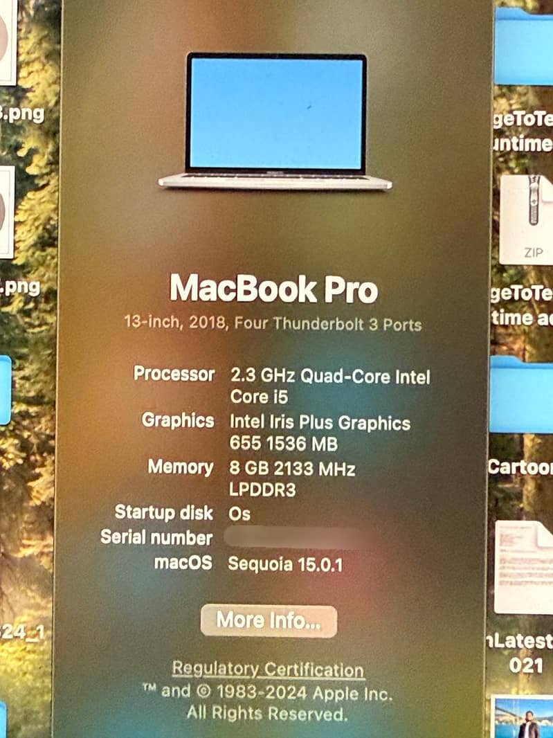 MacBook Pro 6
